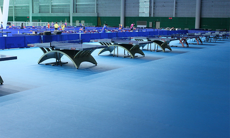 ��������ЊW��ƥ�������w����